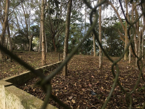 Imagen 2 de 3 de Se Vende Terreno En La Via El Picacho De San Antonio De Los Atos. 0414-8457924