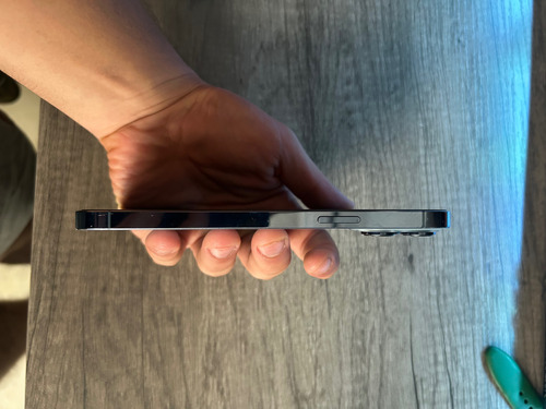 iPhone 13 Pro Max (Usado)