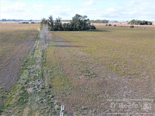 Imagen 10 de 18 de 33 Has En Venta - Chacra Agrícola Con Excelente Acceso