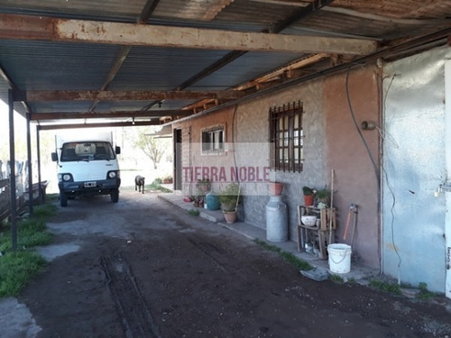 Imagen 8 de 17 de Permuto Por Casa Finca Agroganadera