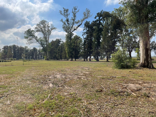 Venta Lote General Rodriguez Villa De Campo Tres Pinos Estribo