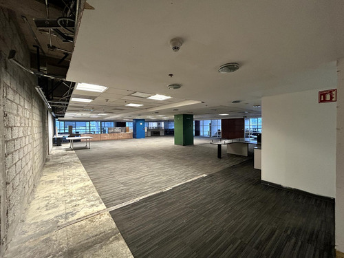 Oficina En Renta - Polanco - Piso 5 - 754 M2