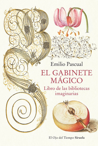 Gabinete Magico:libro De Las Bibliotecas Imaginarias, De Pascual, Emilio. Editorial Siruela, Tapa Blanda En Español