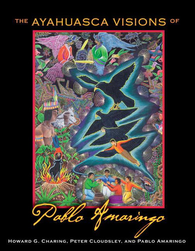 Libro Físico En Inglés The Ayahuasca Visions Of Pablo