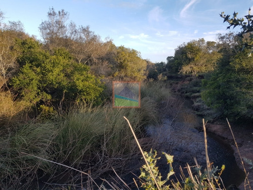 Imagen 6 de 14 de Campo 31 Hás Garzón Bajo