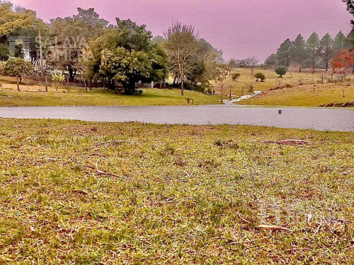 Imagen 20 de 30 de Venta 10 Ha, 3 Viviendas, Buen Potencial Turístico, Pueblo Eden, Punta Del Este Sch4818860