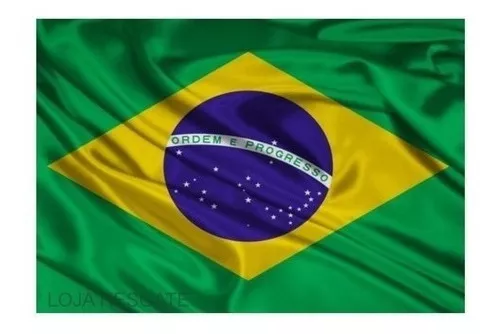 Terceira imagem para pesquisa de bandeira bolsonaro