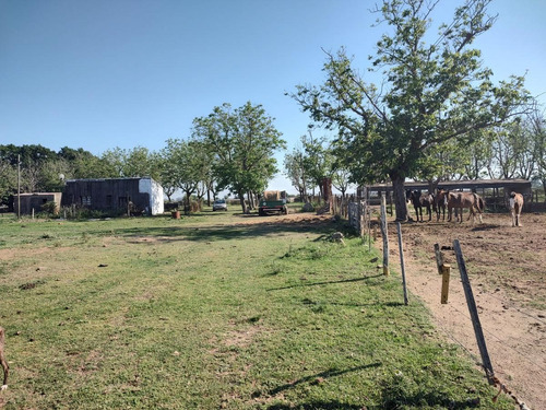 Imagen 8 de 17 de Campo - Timbues Jose Maria