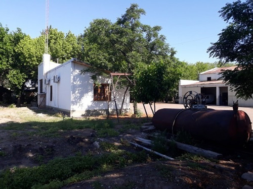 Vendo Bodega Con Viñedos Y Elaboración Propia