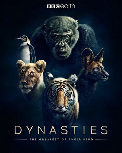 Dynasties (2018)  Miniserie De Tv 1 Temporada Completa 3 Dvd