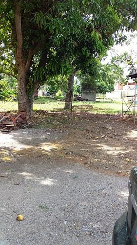 Imagen 1 de 9 de Asein420 Vende Excelente Terreno En Yagua Sector El Cabrito