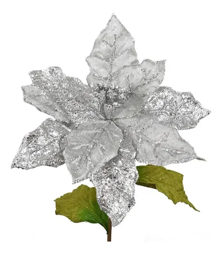 dibujos de flor de noche buena