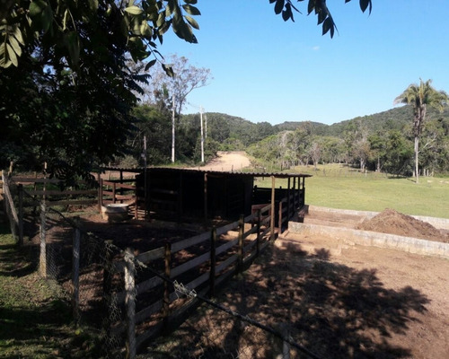 Imagem 9 de 22 de Sitio À Venda Em Juquitiba - 307 - 32982833