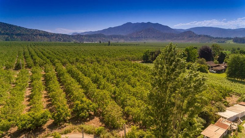 Parcelas En Venta En Requínoa, Camino El Trigal