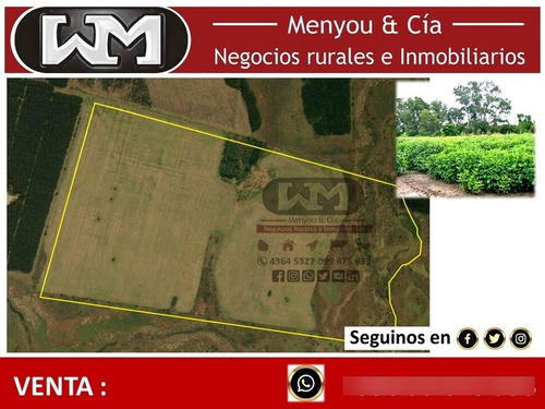 Venta Campo Rió Negro 73 Hectáreas 80% Agrícola Coneat 166