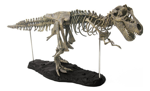 Figura De Esqueleto De Dinosaurio De Simulación De Coleccion