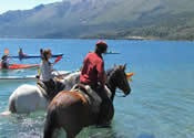 Imagen 4 de 10 de Alquilo Apart Hotel En Bariloche, Con Piscina, P/4 Personas