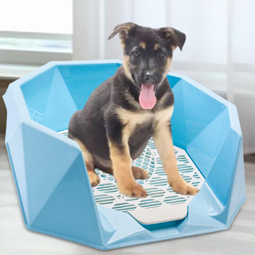 Almohadillas Para Ir Al Baño Para Perros De Interior, Azul