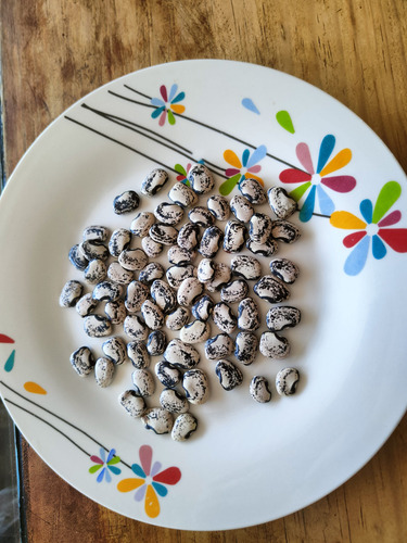 Combas Frijol Comba Semilla Artesanal De Guerrero - 500g.