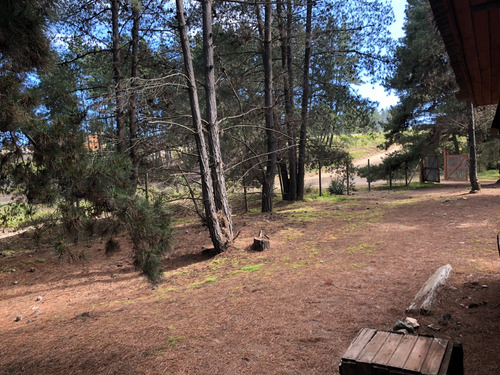 Acogedora Cabaña En El Bosque De Reñaca.