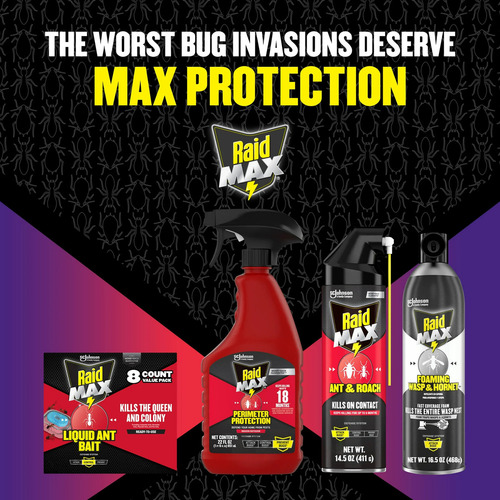 Insecticida Raid Max Perimetral Protection, Spray 22 Fl Oz
