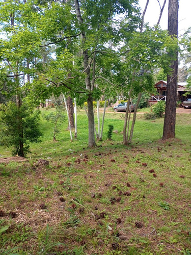 Lotes En Barrio Cercado La Cueva Del Teyu San Ignacio