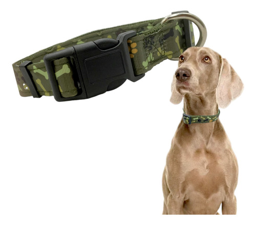 Collar Para Perros Razas Chicas Y Pequeñas Premium Ajustable Color Huesos Militar Verde
