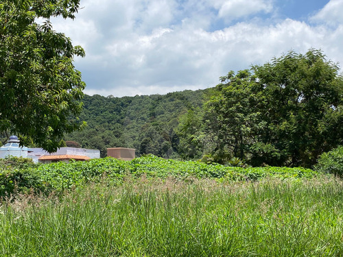 Terreno Residencial En Venta En Fraccionamiento La Herradura