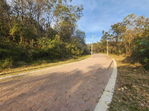 Venta Lote Gladiola 42 Con Vistas Panorámicas Y Todos Los Servicios Y Proyecto Incluído. A Unos Pasos De Las Amenidades En Nueva Zona De Fracc Rancho San Diego Ixtapan De La Sal Edomex