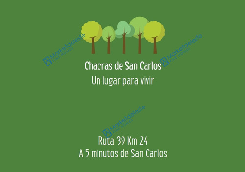 Chacras De San Carlos - Chacra 7
