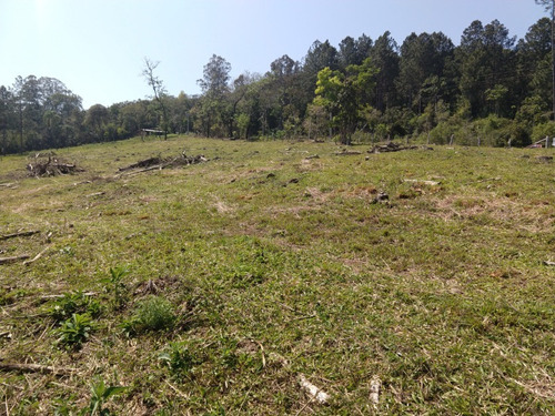 Chácara 20.000 M² - Lomba Grande - Novo Hamburgo - Rs - 2229 - 34453770
