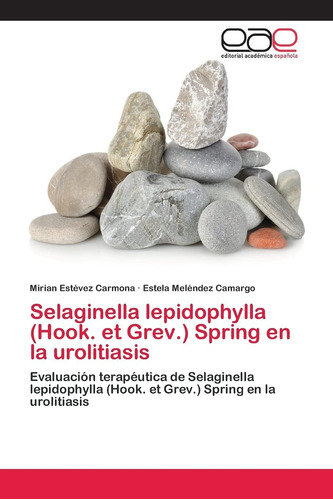 Libro: Selaginella Lepidophylla (hook. Et Grev.) Spring En L