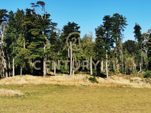 Imagen 20 de 24 de Parcelas, Molino De Puerto Octay, Urbanizadas, 1.850 Uf
