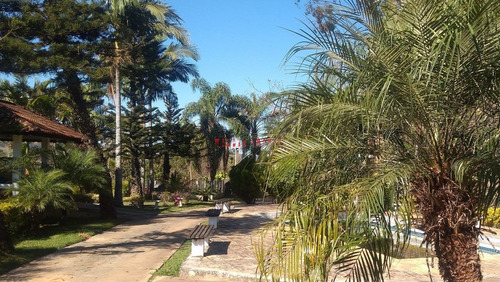 Sitio - St00008 - 34785268