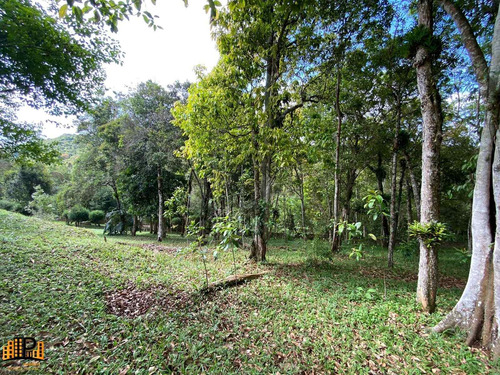 Imagem 24 de 30 de Chácara À Venda 4.600m2 Terreno, Casa 485m2 Piscina Estrada Julio Rocha Bairro Do Monjolo Em Juquitiba - Sp - Ch07787 - 70289503