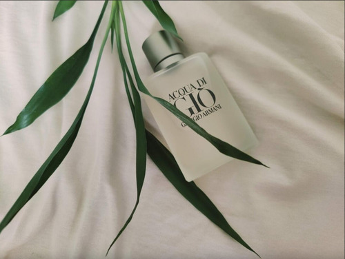 Clasico Acqua Di Giò Edt 100 Mi Para Hombre