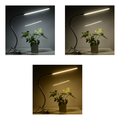 Lámpara Led Con Brazo Para Estudio, Universidad, Escritorio,