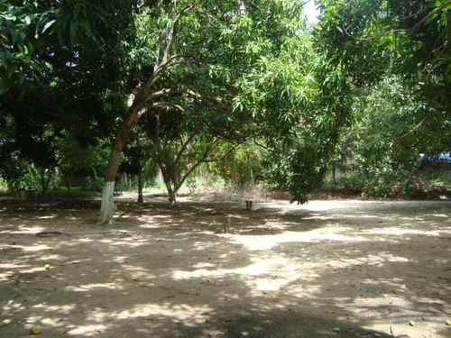 Imagem 11 de 11 de Terreno Para Alugar Na Cidade De Fortaleza-ce - L7512