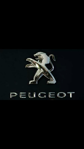 Rele Electroventilador Original Peugeot 5 Patas Original