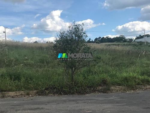 Imagem 9 de 15 de Terreno / Area - Distrito Empresarial - Ref: 4760 - V-mta4760