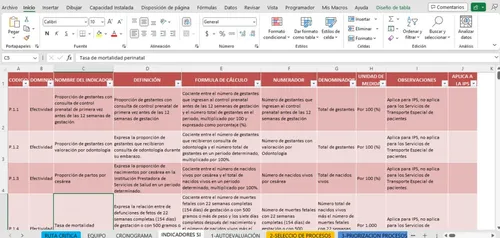 Formato Registro Ruta Crítica Pamec - Sistema Información