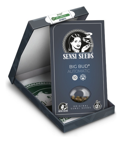 Semillas De Colección Auto. Big Bud (3) Sensi Seeds