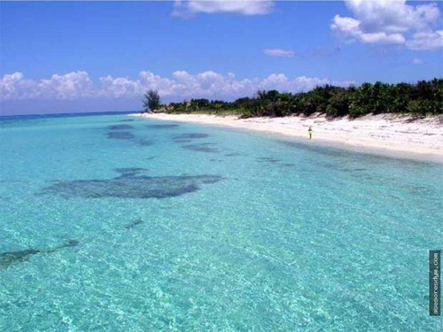 Imagen 3 de 4 de Terreno - Isla Blanca