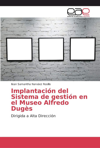 Libro: Implantación Del Sistema Gestión Museo Alfre