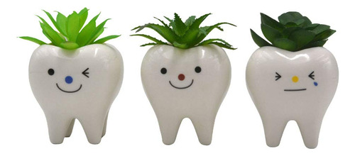 Paquete De 3 Mini Macetas Cerámica Para Suculentas Multicolor/surtido Nombre Del Diseño