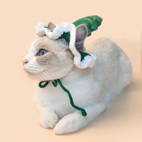 3 Sombrero Para Gato, Árbol De Navidad, Árbol De Navidad