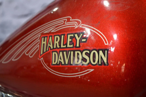 Harley Davidson Softail Custom 1584cc De La Mejores Opciones