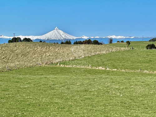 Un Paraíso Del Sur De Chile, Sitios Con Acceso Al Lago.