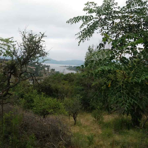 Se Vende Lote En Los Espinillos
