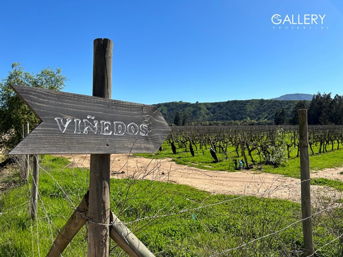 Terreno Plano, Vistas Despejadas, Colinda Viña, Catapilco